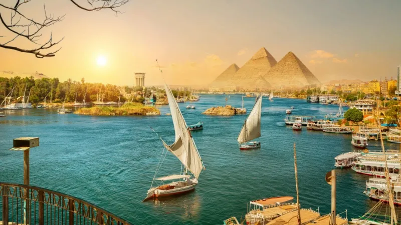  Nile River Cruise DInner