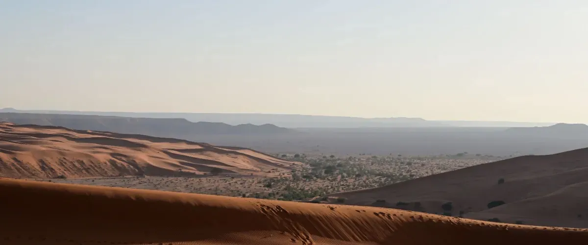 منتزه الخرارة الوطني: اكتشف المغامرة في واحة الصحراء بالمملكة العربية السعودية