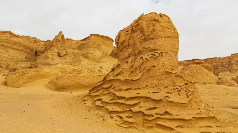 Wadi Al-Hitan