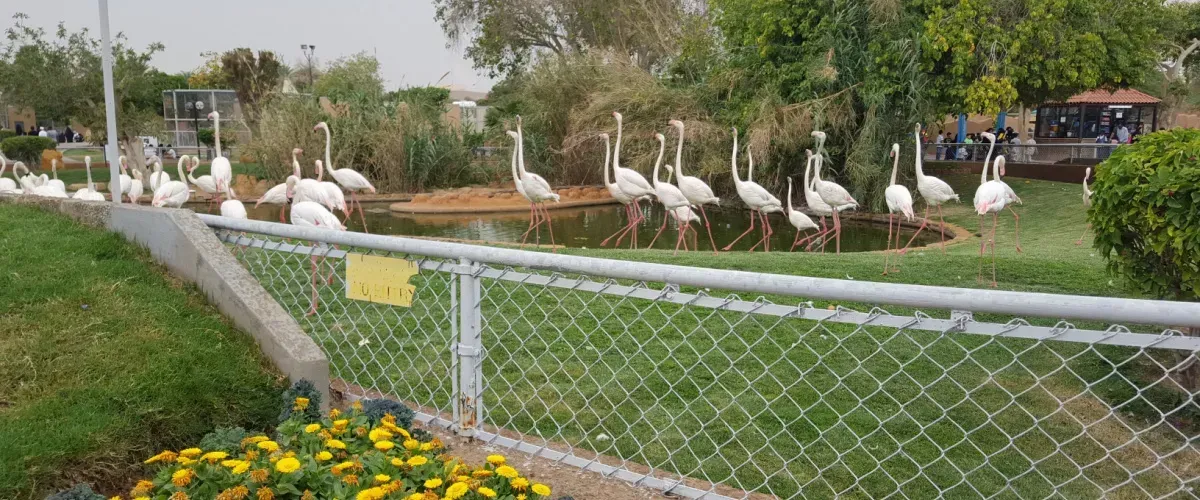 حديقة الحيوانات بالرياض: اكتشف عجائب الحياة البرية في قلب المملكة العربية السعودية