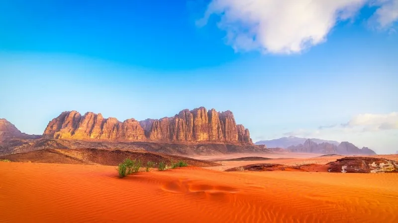 Plan a day trip to Wadi Rum