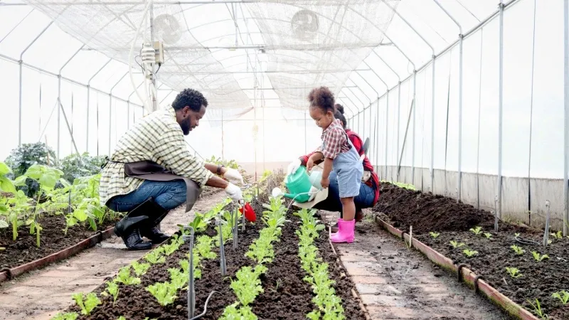 Visit Al-Zaytouna Farm