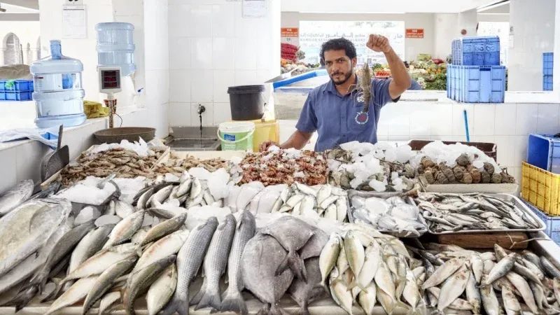 Ajman Fish Market