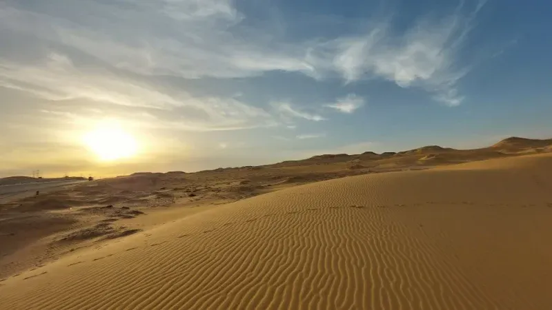 Take a Trip to Nafud al-ʽUrayq Nature Reserve