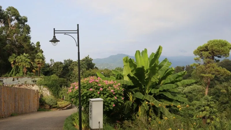 Explore the Batumi Botanical Garden