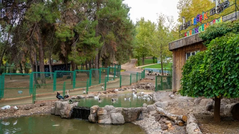 Experience the Gaziantep Zoo