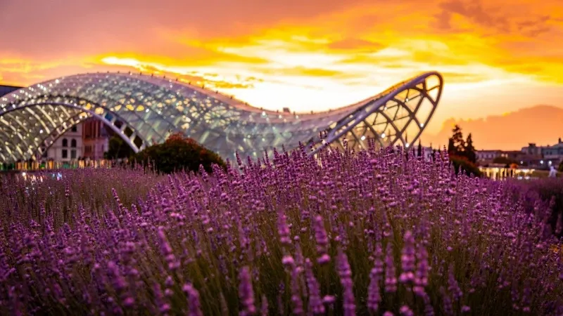 Bridge of Peace (Tbilisi)