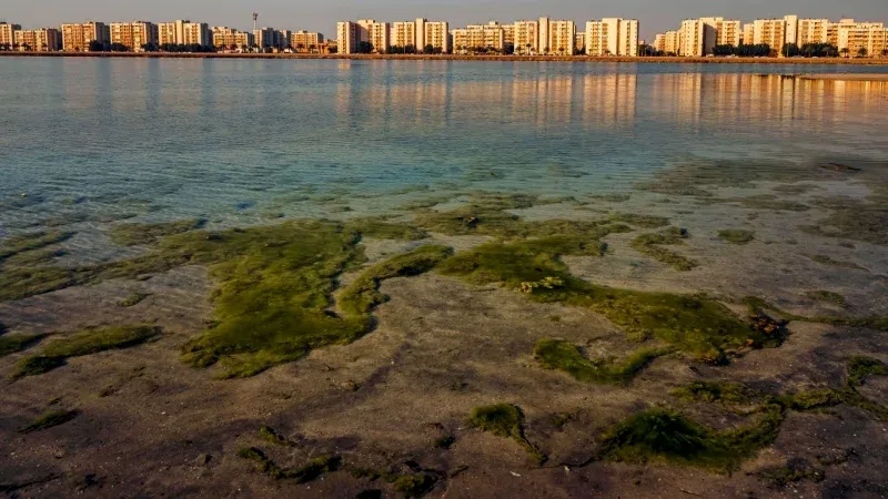 Buraidah Corniche