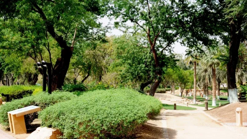 Al-Faisaliah Garden