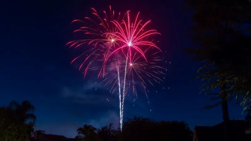 Main Attractions & Event Highlights