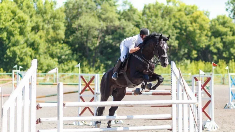 Tips to Explore the Best of Longines Global Champions Tour