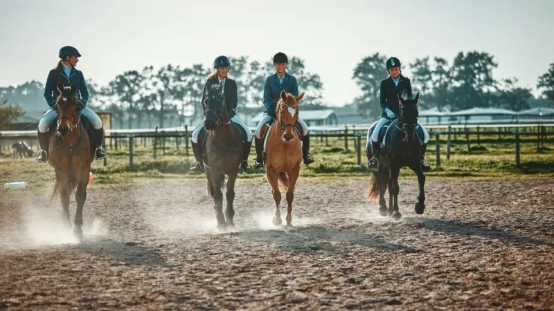 Fantasia (Tbourida) Horse Shows