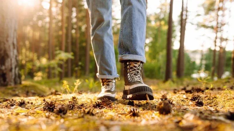 Major Attractions Near By