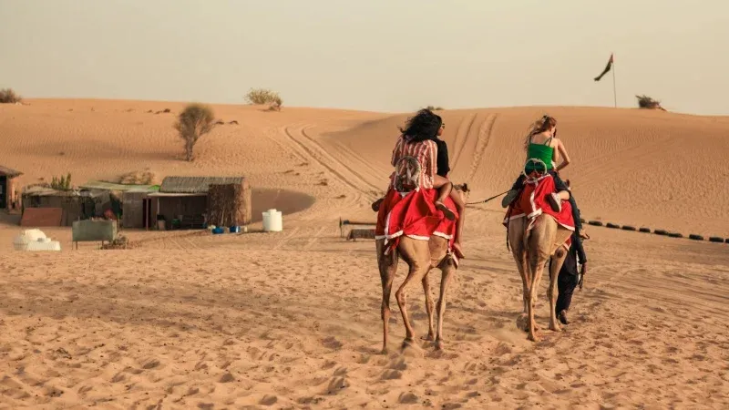 Desert Experiences for New Year in Dubai