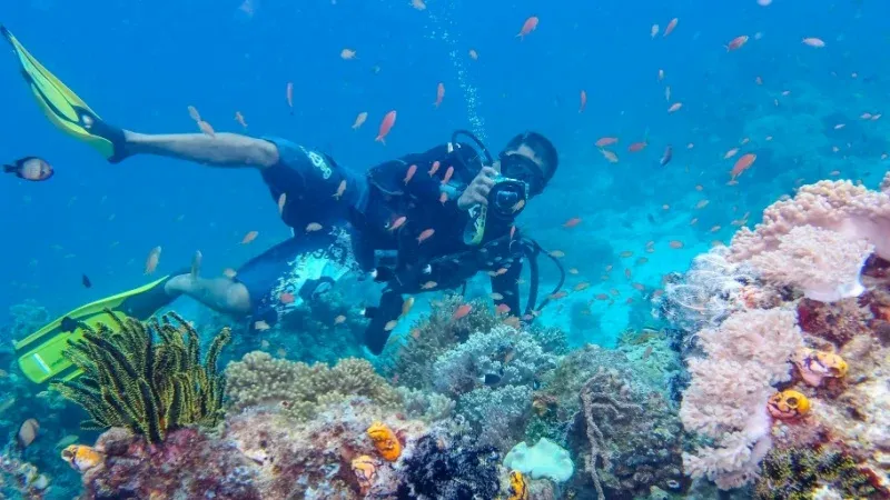 Try your hand at Diving and Snorkelling