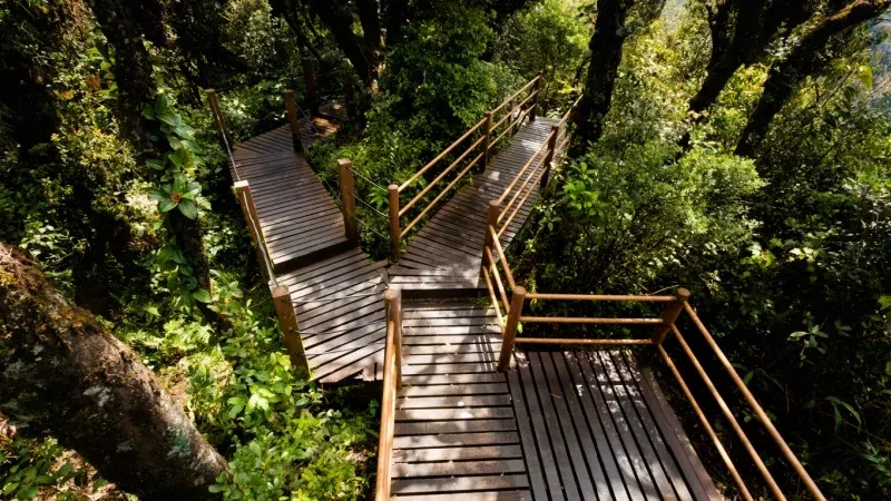 Embark on Hiking and Caving Expeditions