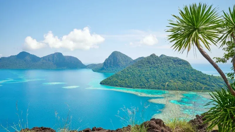 Uncover the Wonders of Borneo Island