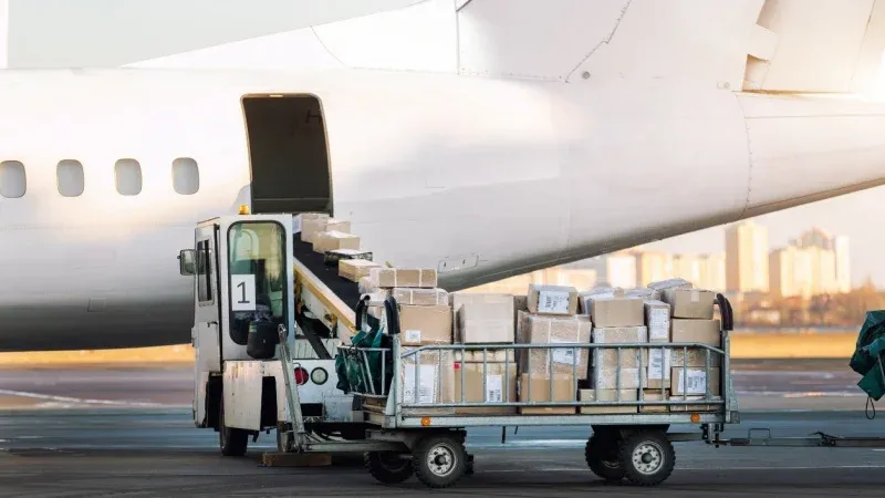 Travelite's Specialized Cargo Services
