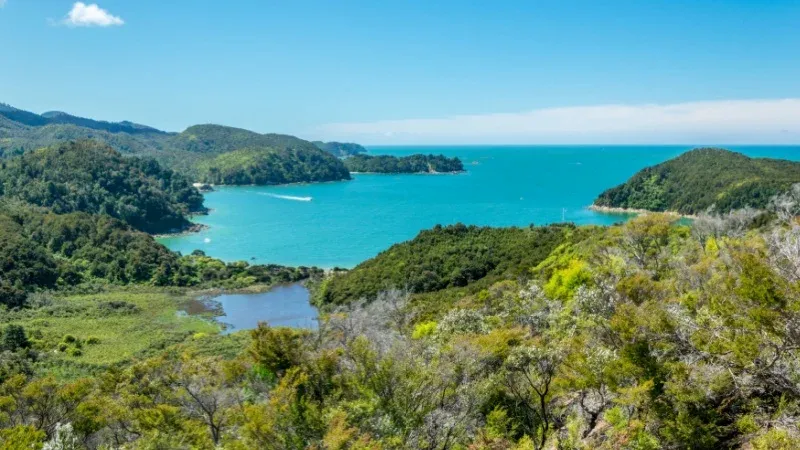 Unique Experiences for New Year in New Zealand