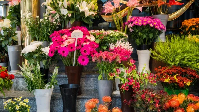 Floredude Flowers Gallery