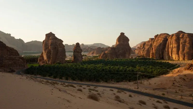 أبرز الأحداث خلال سباق درب العلا ٢٠٢٦