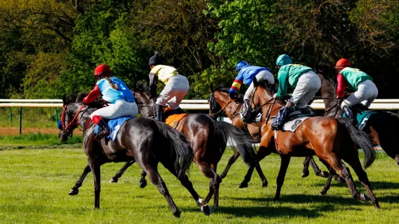 Discover the History and Significance of Saudi Cup