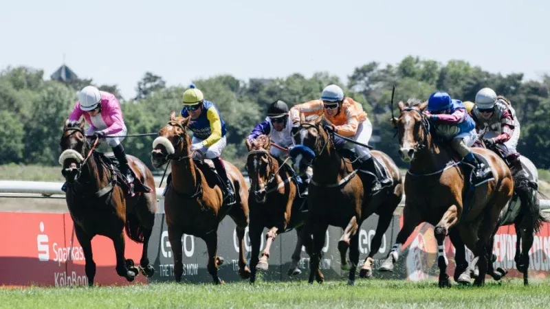 What to Expect at Saudi Cup 2026