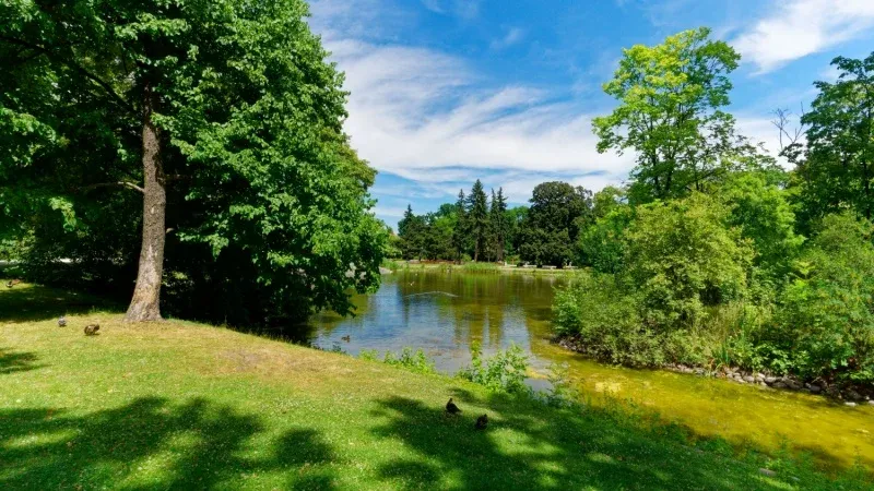 Serene Lake and Water Features