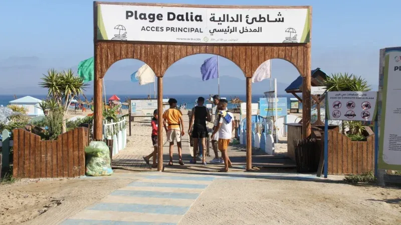 Dalia Beach