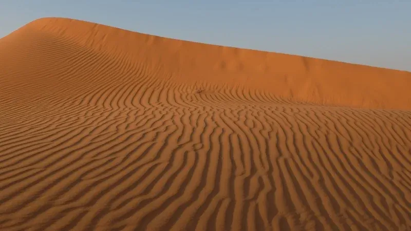 أنشطة المغامرات في صحراء النفود