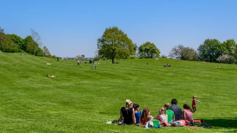 Picnicking and Family Fun