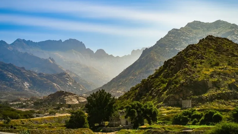 Taif