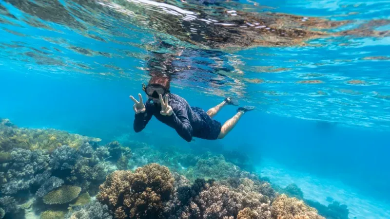 Scuba Diving