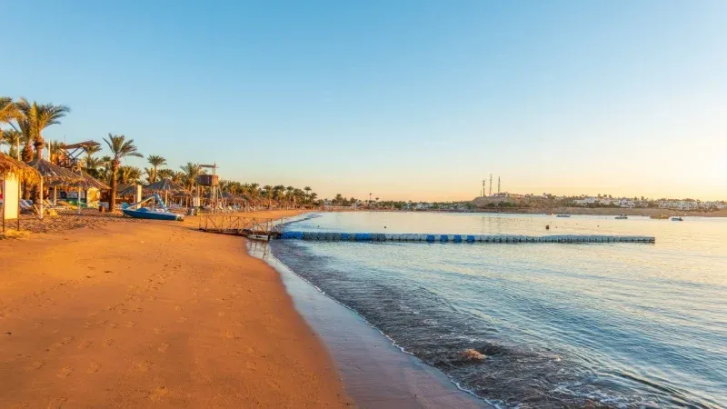 Enjoy Coastal Beauty of Red Sea