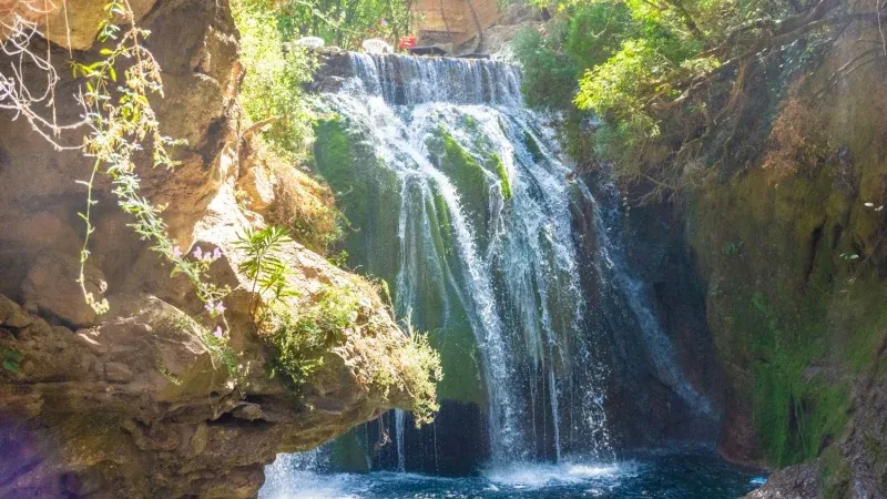 Take Tour to Akchour Waterfall