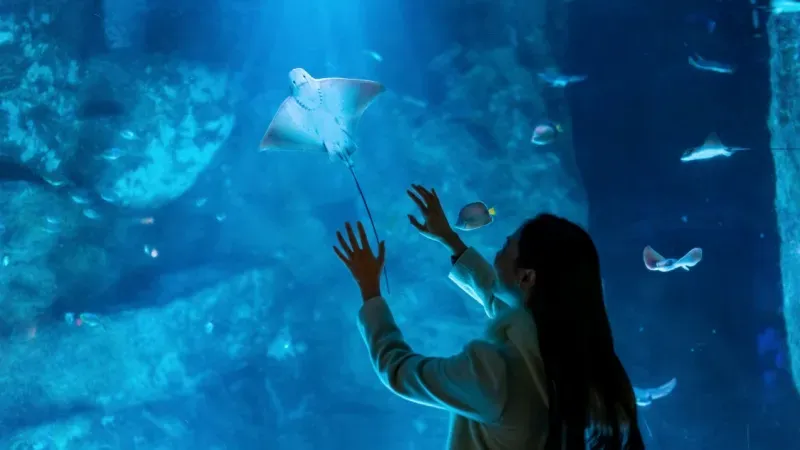 Fakieh Aquarium