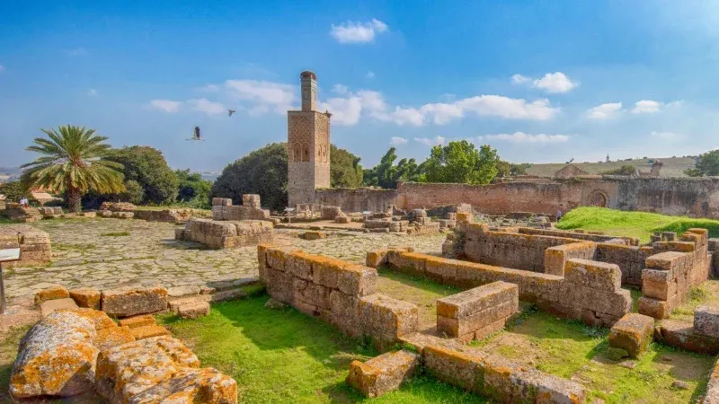 Visit Chellah Necropolis