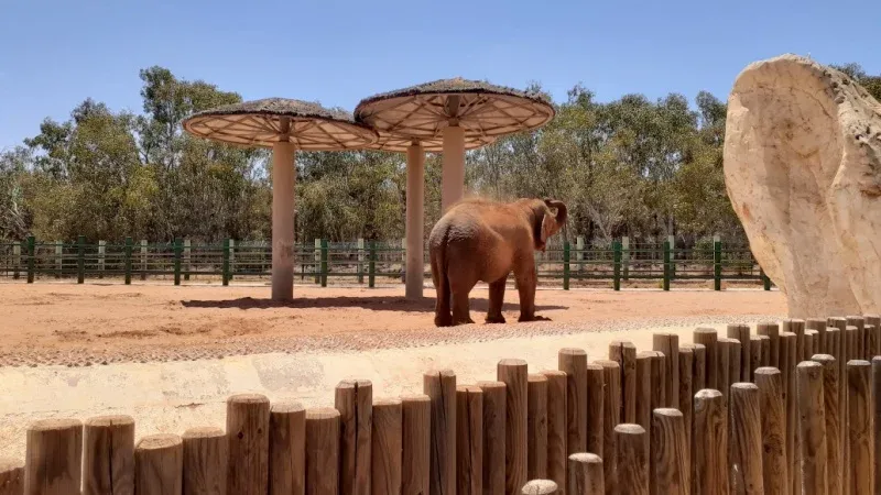 Visit the Rabat Zoo (Jardin Zoologique National)