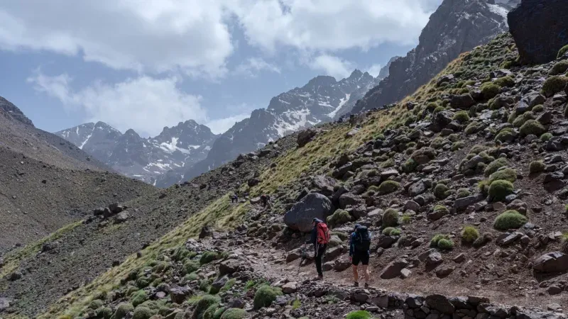 Book Your Trek
