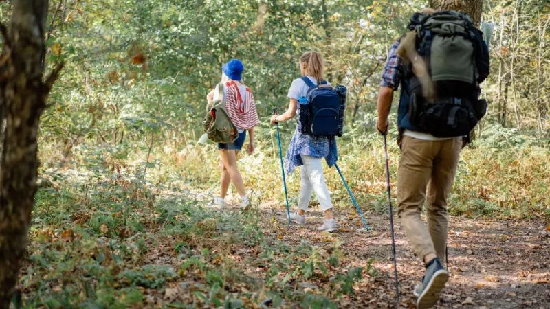Benefits of Trekking