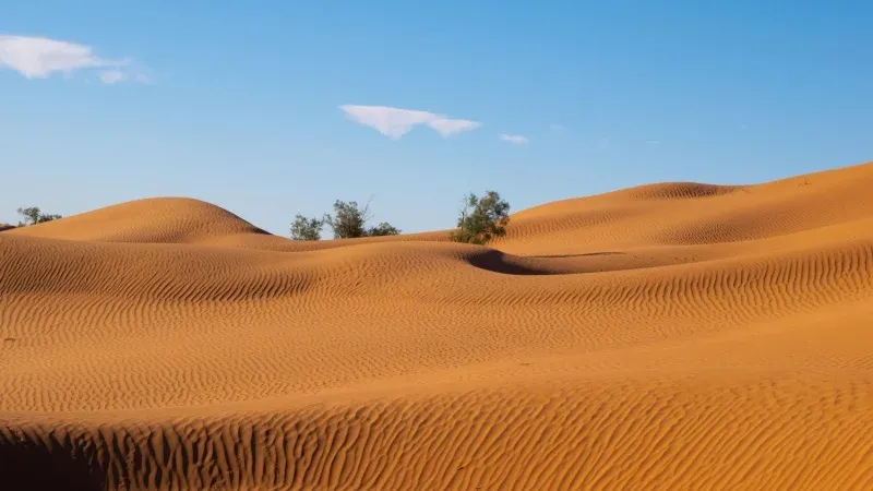 Zagora Desert