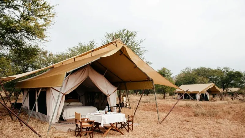 Wadi Al Disah Luxury Tented Camp
