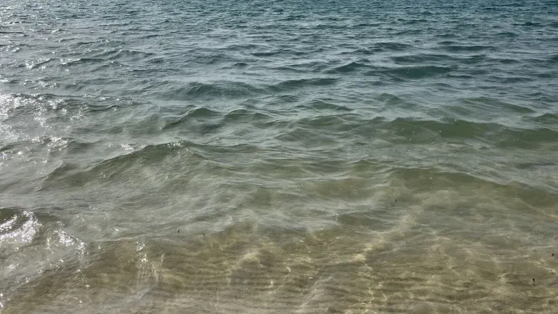 Thuwal Beach