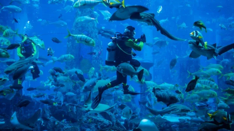 Atlantis Dive Center