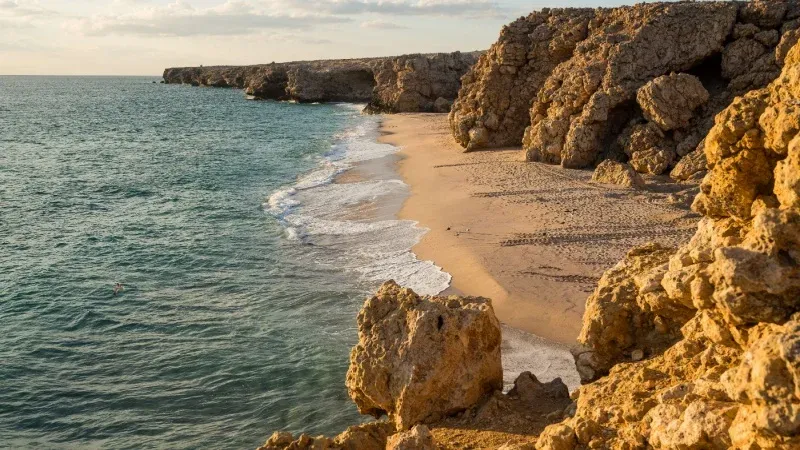 Ras Al Jinz Turtle Reserve