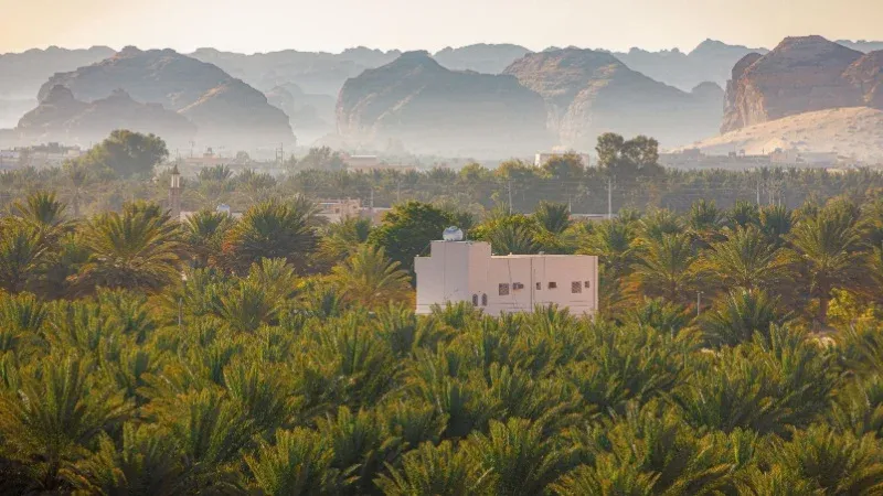 AlUla Oasis