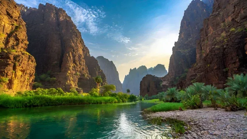 Wadi Al Disah Canyon Oasis