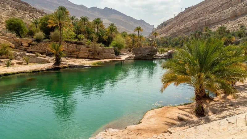 King Salman Science Oasis