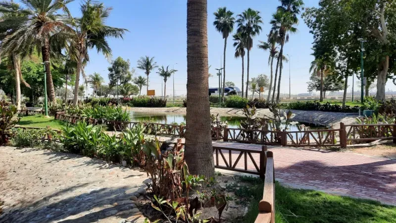 History of Yanbu Lake Park