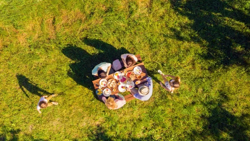 Picnic